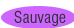 Sauvage�u�����h�̐����ʔ̃J�^���O